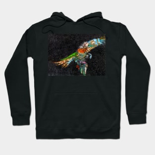 Macaw 1 Hoodie